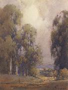 Eucalyptus Landscape unknow artist